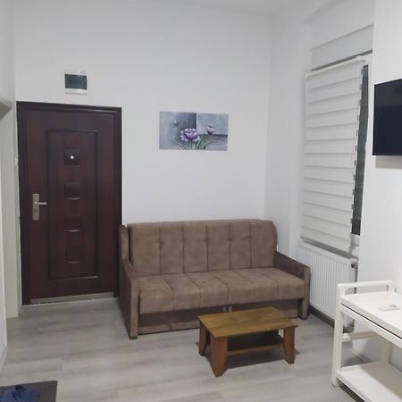 Lotus House Apartment Becicherecul Mare Exterior foto